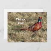 Fazant Foto Bedankt Briefkaart (Voorkant / Achterkant)