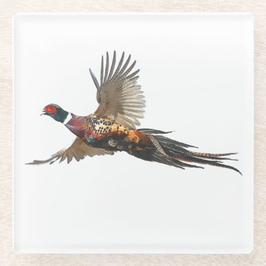 fazant glazen onderzetter (Voorkant)