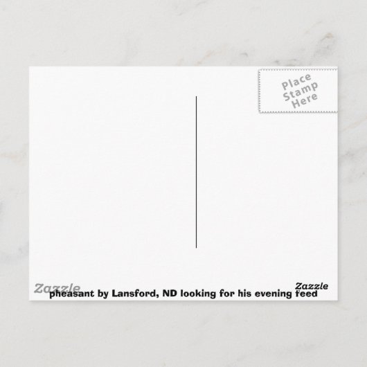 fazant in de avond briefkaart (Achterkant)