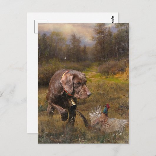 Fazant jacht met een Pudelpointers Briefkaart (Voorkant / Achterkant)