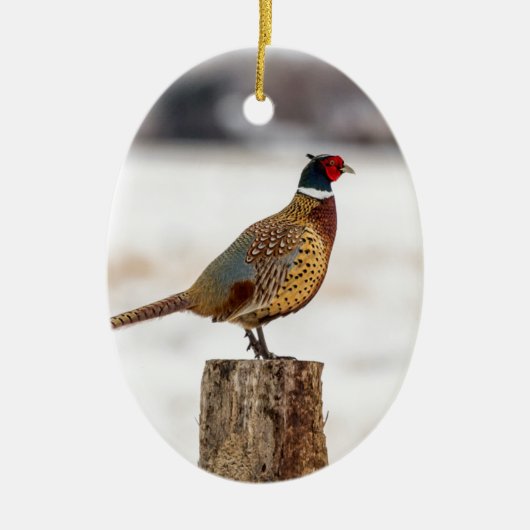 fazant keramisch ornament (Voorkant)