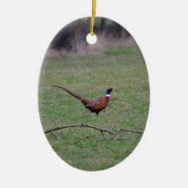 Fazant Keramisch Ornament