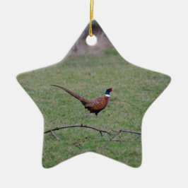 Fazant Keramisch Ornament