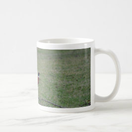 Fazant Koffiemok