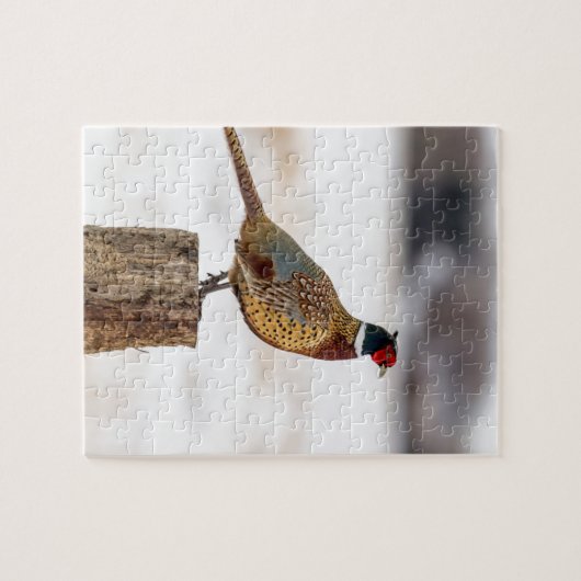 fazant legpuzzel (Horizontaal)
