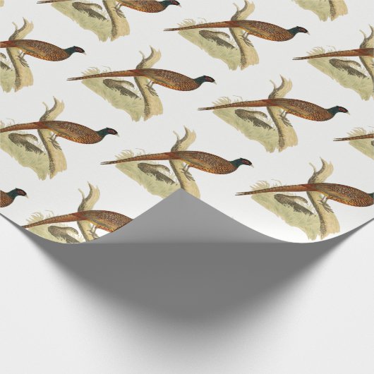 fazant op de kleur van de vogeltrek van het Spel  Cadeaupapier (Hoek)
