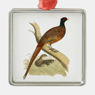 fazant op de kleur van de vogeltrek van het Spel  Metalen Ornament