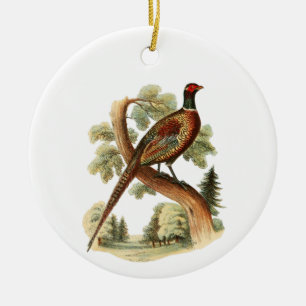  fazant op vertakking met Trees Tekenkleur Keramisch Ornament