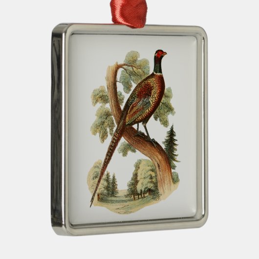  fazant op vertakking met Trees Tekenkleur Metalen Ornament (Rechts)