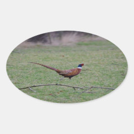 fazant ovale sticker