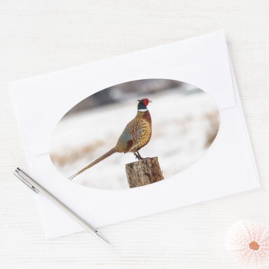 fazant ovale sticker (Envelop)