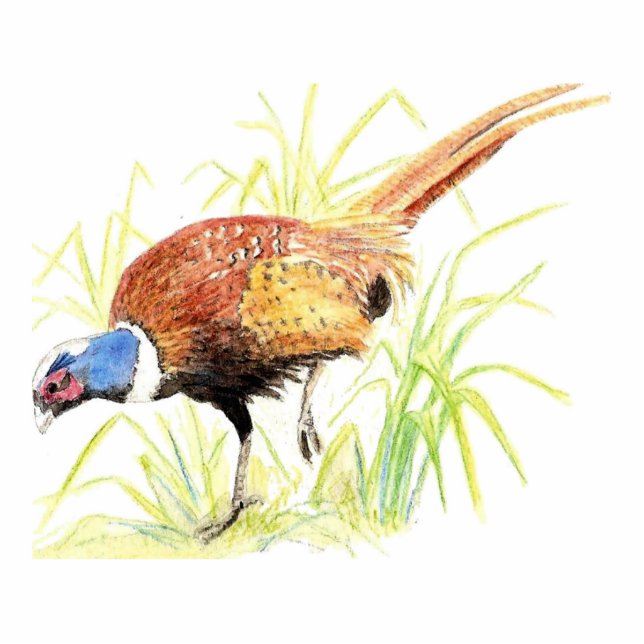 Fazant, sleutelhanger, gloeidraad, magneet of pin staand fotobeeldje  (Voorkant)