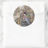 Fazant Sticker (Tas)