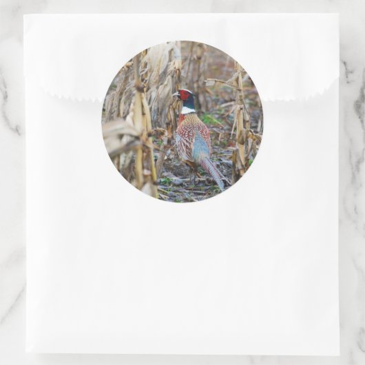 Fazant Sticker (Tas)