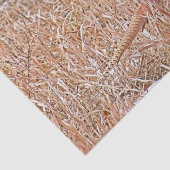 Fazant Tissuepapier (Detail)