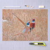 Fazant Tissuepapier (Craft)