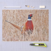 Fazant Tissuepapier (Craft)