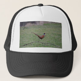Fazant Trucker Pet