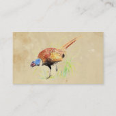 fazant, vogel, Natuur, milieu, Visitekaartje (Achterkant)