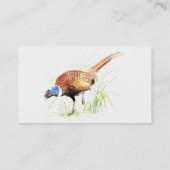 fazant, vogel, Natuur, milieu, Visitekaartje (Achterkant)