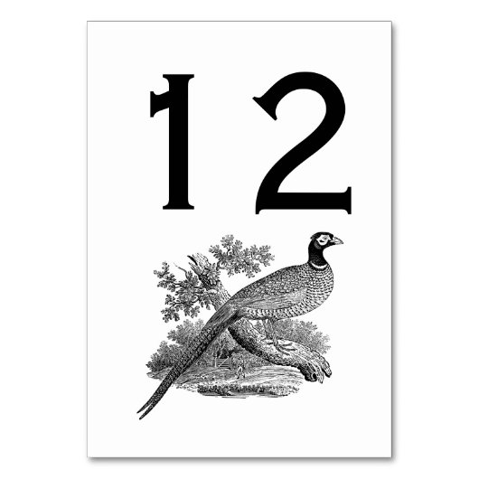 fazant-vogeltrekbaan kaart (Voorkant)