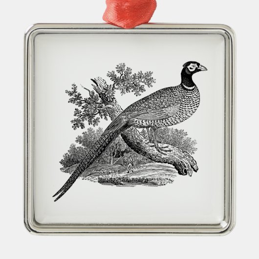  fazant-vogeltrekbaan metalen ornament (Voorkant)