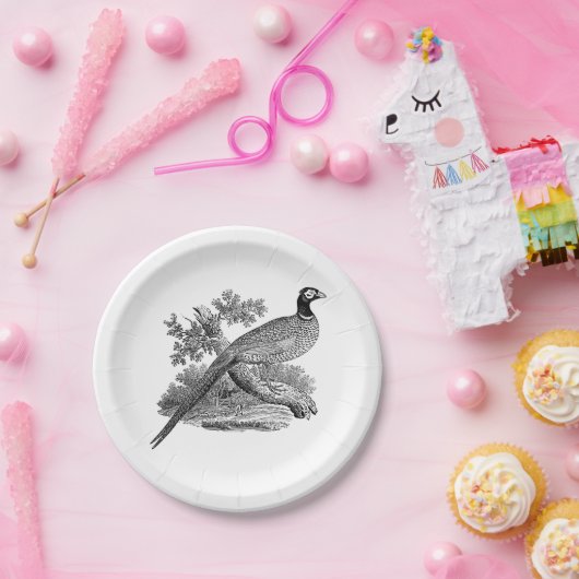  fazant-vogeltrekbaan papieren bordje (Feest)