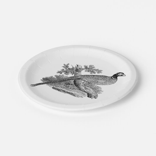  fazant-vogeltrekbaan papieren bordje (Gekanteld)