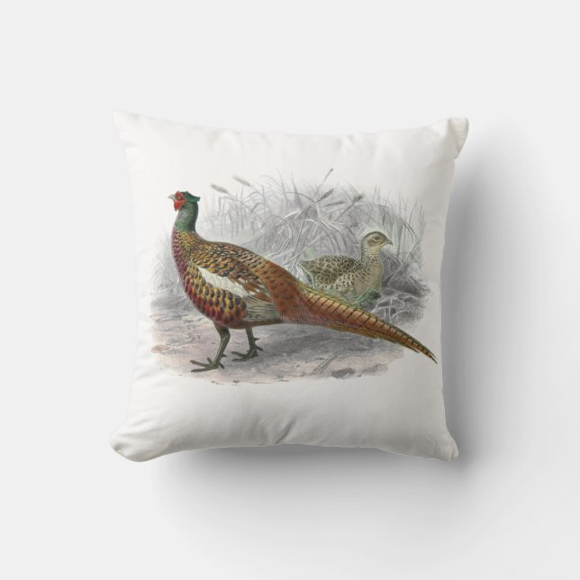  fazant-vogeltrekkleur #2 kussen (Voorkant)