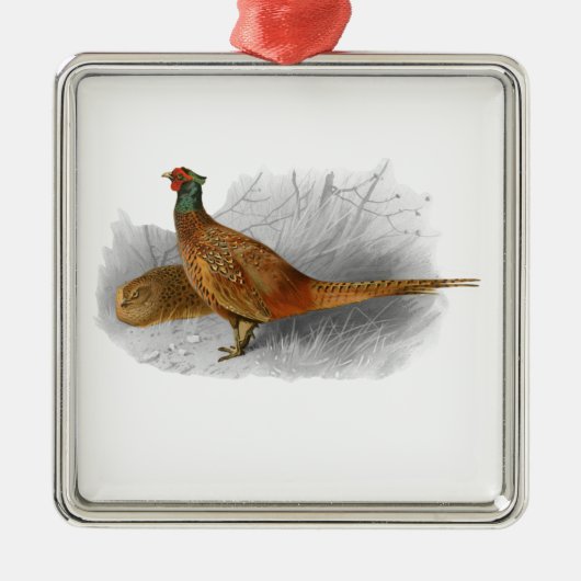  fazant-vogeltrekkleur #3 metalen ornament (Voorkant)