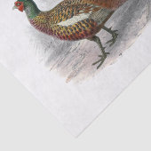  fazant-vogeltrekkleur #3 tissuepapier (Detail)