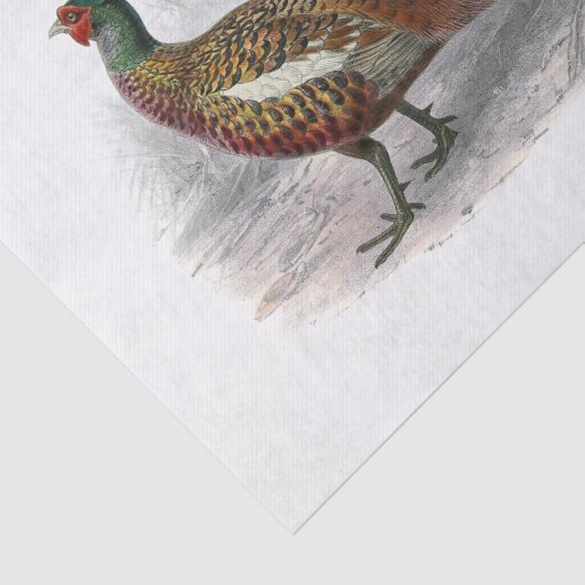  fazant-vogeltrekkleur #3 tissuepapier (Detail)
