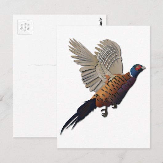 fazant zonder tekst briefkaart (Voorkant / Achterkant)