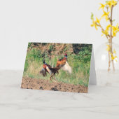 Fazanten die wenskaart bestrijden kaart (Gele Bloem)