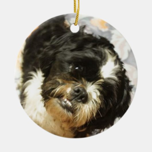 FB_IMG_1481505521015 Shitzu dog Keramisch Ornament (Voorkant)