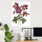 Fbotanische PREMIUM KWALITEITdrukknop van kolommen Poster (Thuiskantoor)