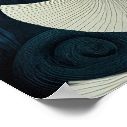 *~* FD2 12  Water Goddess Fantasy Sea Mermaid  Poster (Hoek)