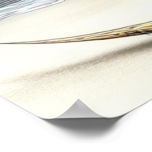 FD2 Enchanted Crescent Moon Goddess 1 Poster (Hoek)