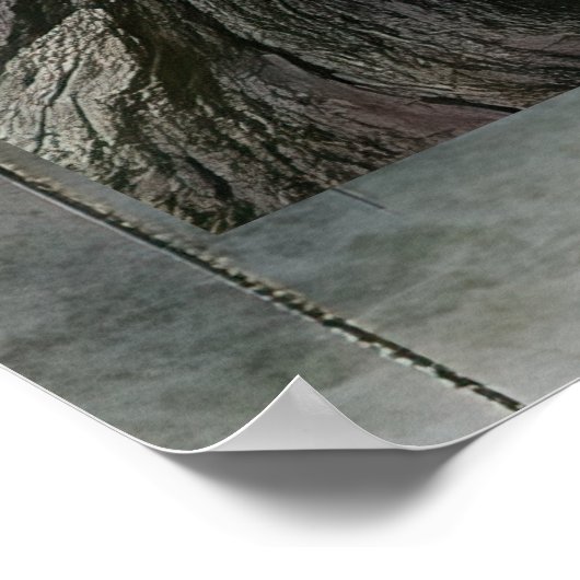 FD2 Enchanted Crescent Moon Goddess 22 Poster (Hoek)