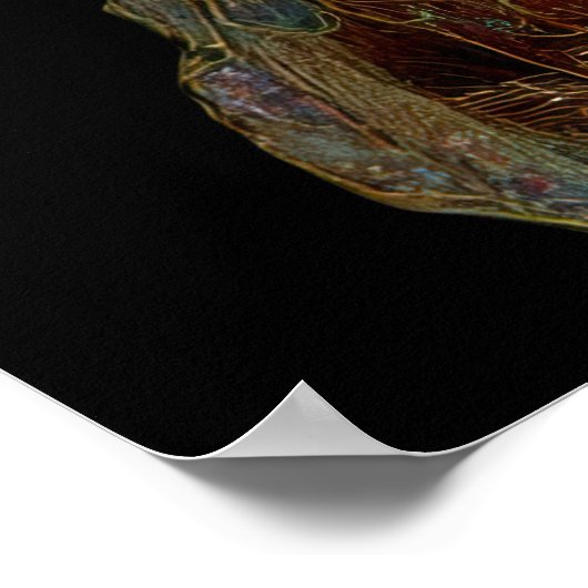 - FD2 Enchanting Fantasy Dreamy Muse 3 Iridescent Poster (Hoek)