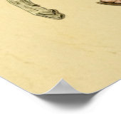 FD2 Koffer Kleurrijke Boho MAN Hond 33 Poster (Hoek)