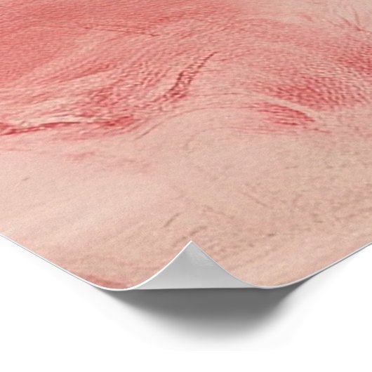 *~* FD2 Tropische zwarte vrouw roze flamingo 36 Poster (Hoek)