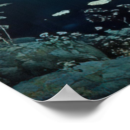 *~* FD3 12 Enchanting Forest Nymph Fantasy  Poster (Hoek)