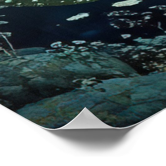 *~* FD3 27 Enchanting Forest Nymph Fantasy Poster (Hoek)