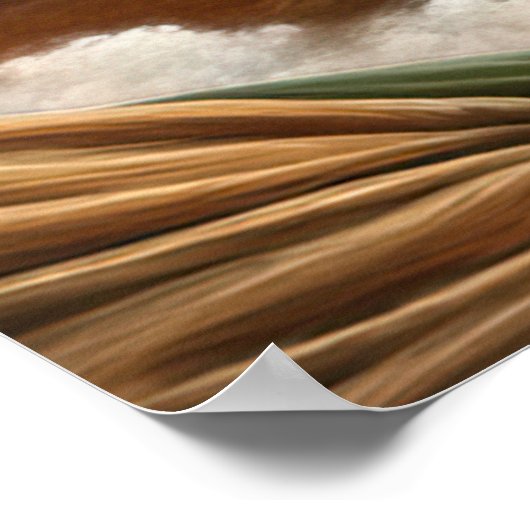 *~* FD3 29 Mystiek MAN Earth Keeper HummingBird Poster (Hoek)