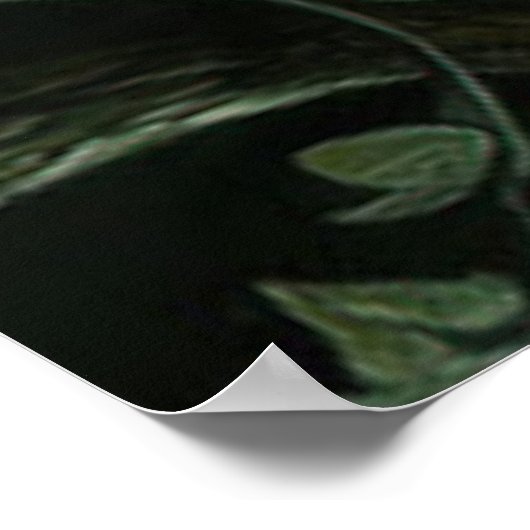 *~* FD3 EARTH GUARDIAN Keeper Protector 9 Poster (Hoek)