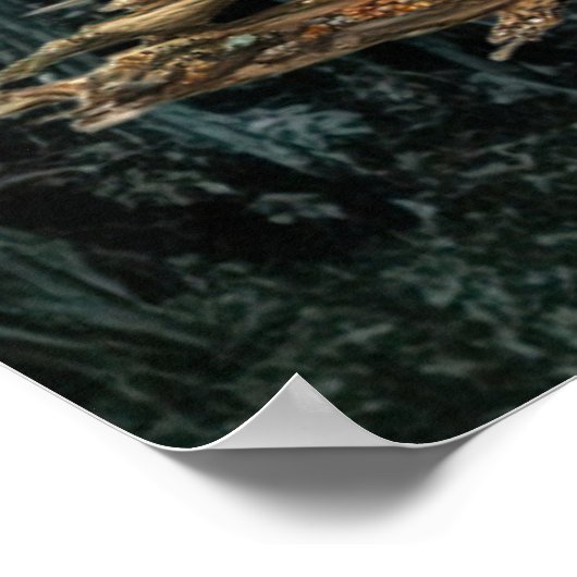 * FD3 Earth Keeper Fantasy Guardian 22 Poster (Hoek)