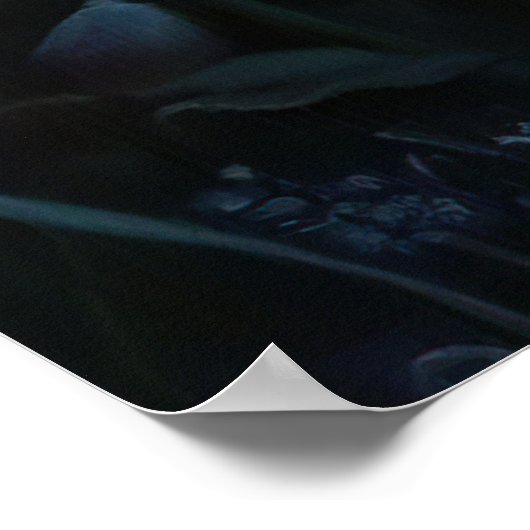 * FD3 Magical Forest Nymph Fantasy 26 Poster (Hoek)