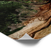 *~* FD3 Mystical WOMAN Earth Keeper 27 Poster (Hoek)