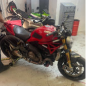 fdsfdsfs trucker pet